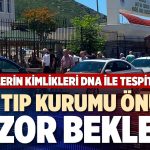 Eren Elmalı Sakatlandı